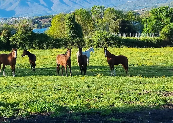 Agriturismo Pastorelli